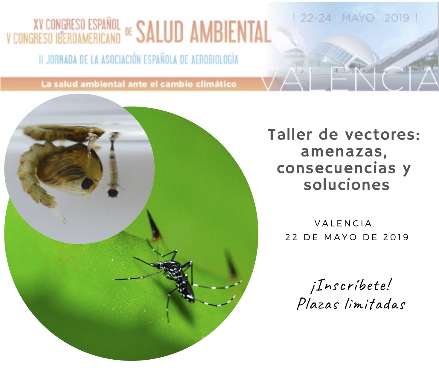 Taller de vectores en el XV Congreso Español y V Iberoamericano de Salud Ambiental