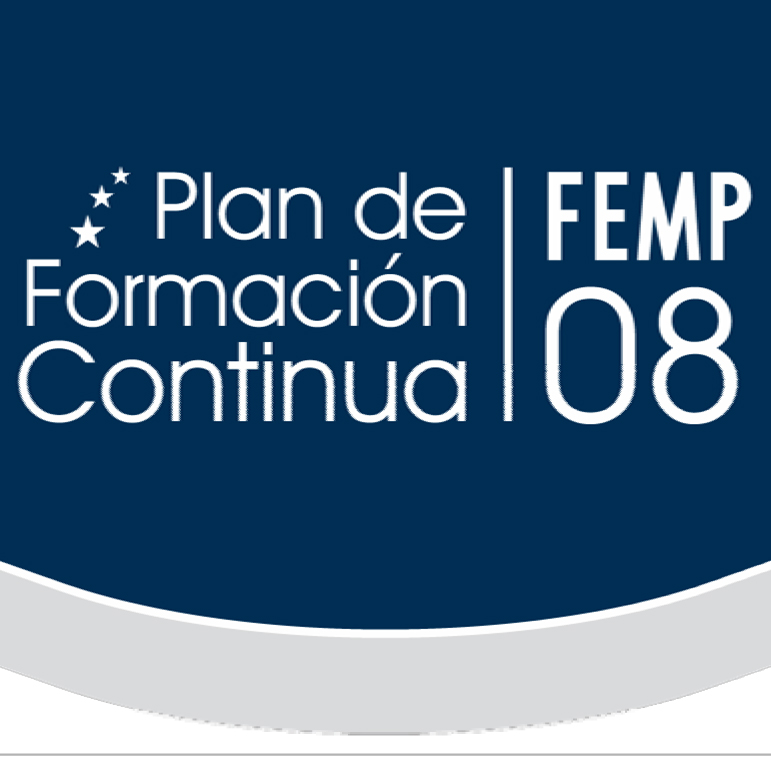 Plan de Formación Continua FEMP 08